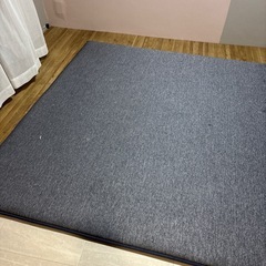 厚い　ラグ　使用期間4ヶ月の画像