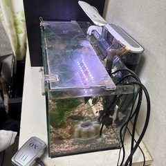 ガラスの水槽セットの画像
