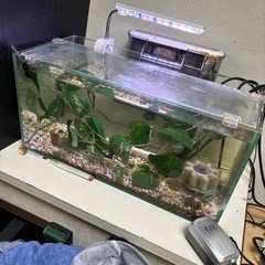 ガラスの水槽セットの画像