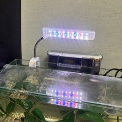ガラスの水槽セットの画像