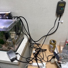 ガラスの水槽セットの画像