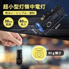 【新品】ミニ懐中電灯の画像