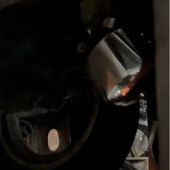 Af24タクトの画像