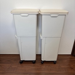 【2個セット】2段式ゴミ箱　分別タイプの画像