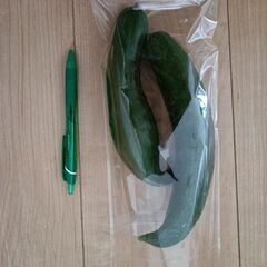 野菜いかがでしょうか？の画像