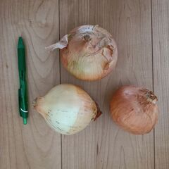 野菜いかがでしょうか？の画像