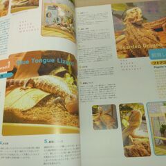 『The Breeder’s Magazine  Herp Life  #001』オールリビングクリーチャーズの画像