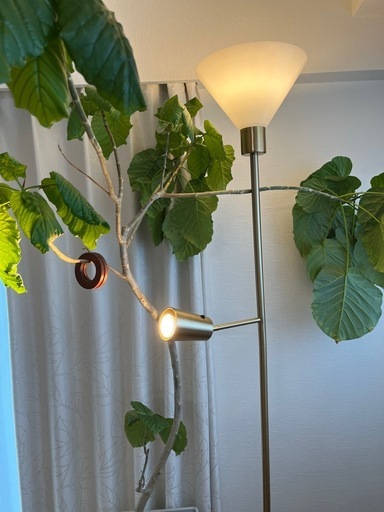 IKEA スタンドライト　FLUGBO フルーグボー