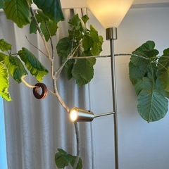 IKEA スタンドライト　FLUGBO フルーグボーの画像