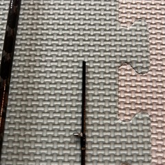 メバリングロッド
の画像