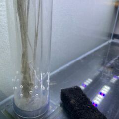 90cm曲げ水槽オーバーフローフルセット 早いもの勝ちですの画像