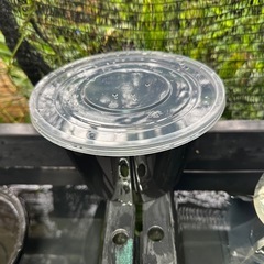 メダカ無人販売の画像
