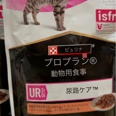 猫用　尿石ケア　ウェッティ動物病院食の画像