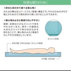 特殊寝台付属品マットレス ソフィア Sofia（通気・洗浄消毒タイプ）介護用の画像