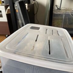 45㎝オーバーフロー水槽セット　一見の価値アリ！の画像
