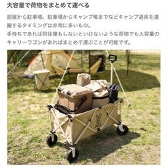 限定値下げ！キャリーワゴンの画像