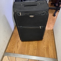 ラゲジの画像