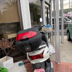 ホンダリード　白の画像