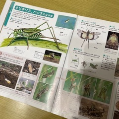 昆虫＆恐竜　図鑑の画像