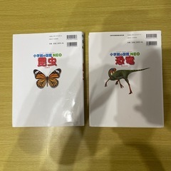 昆虫＆恐竜　図鑑の画像