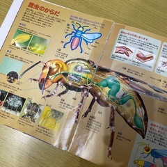 昆虫＆恐竜　図鑑の画像