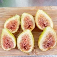 いちじく　ロングドゥート　穂木の画像