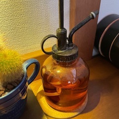 LUCHEライトとサボテンと霧吹きセット！の画像