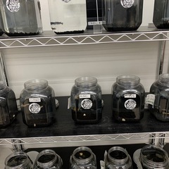 宇部　メダカ　めだかの画像
