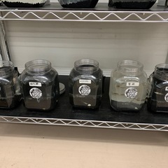 宇部　メダカ　めだかの画像