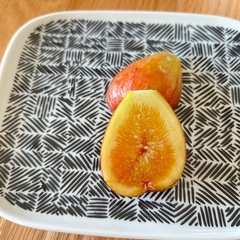 いちじく　ヨルダン　穂木の画像