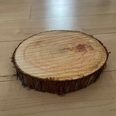 ヒノキの丸太スライスの画像