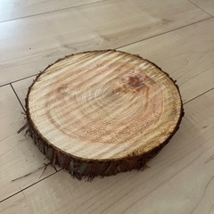 ヒノキの丸太スライスの画像
