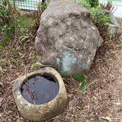 🔶庭石🔶の画像