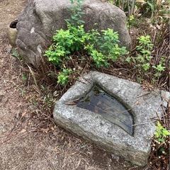 🔶庭石🔶の画像