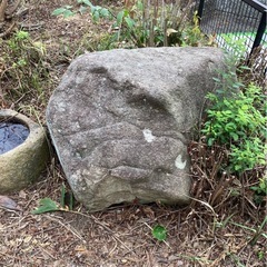 🔶庭石🔶の画像