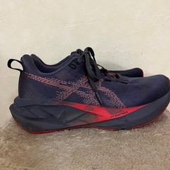 asics NOVABLAST5 ノヴァブラスト 23cmの画像