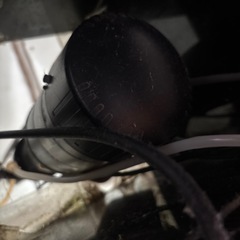 90センチの水槽です。の画像