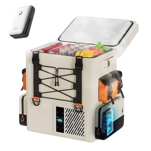Litheli ポータブル冷蔵庫 バッテリー付 SE 16L 急速冷凍 車載