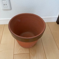 鉢(中型)　テラコッタ　観葉植物の画像