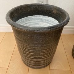 割と大きめの鉢2個セット　観葉植物の画像