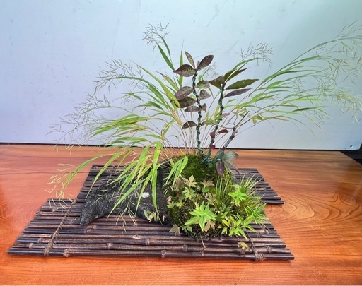 No.2 メダカ鉢にコマユミその他の寄せ植え
