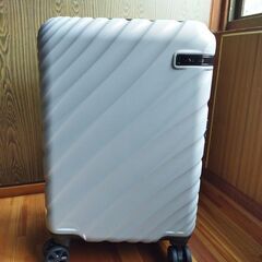 ACE株式会社 Sサイズキャリーケース 『オーバル２・グレー色』未使用品の画像