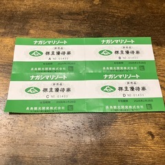 ナガシマスパーランド　プール入場チケット2人分　　ナガシマ株主優待券の画像