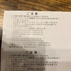 ナガシマスパーランド　プール入場チケット2人分　　ナガシマ株主優待券の画像