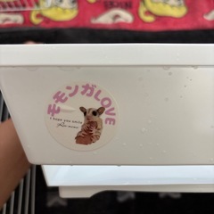 とりかこ鳥かごの画像