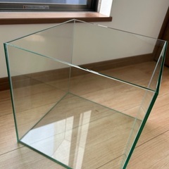 30cm CUBEフレームレス水槽の画像