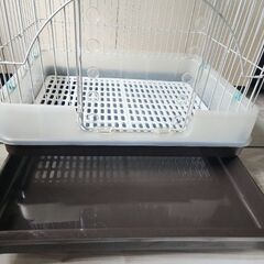 小動物　ケージ　うさぎ、モルモットの画像