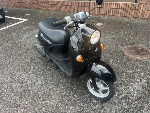 vino 50 黒　早い者勝ち‼️