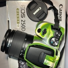 Canon EOS 250D（EOS Kiss X10） 迷彩デザイン(セット一式)の画像