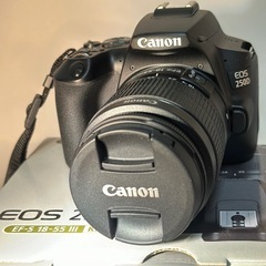 Canon EOS 250D（EOS Kiss X10） 迷彩デザイン(セット一式)の画像